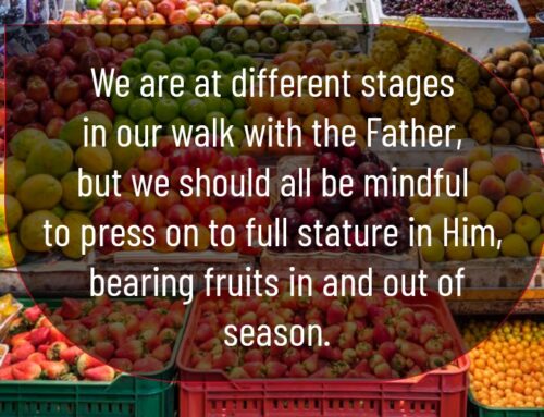 INCREASE/FRUITFULNESS/BEARING FRUITS: PROCESSES